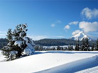 18 - Passo Lavazè, sullo sondo il Corno Nero